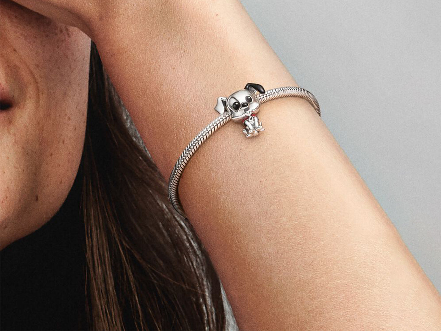 Disney's 101 loyal dog Charm