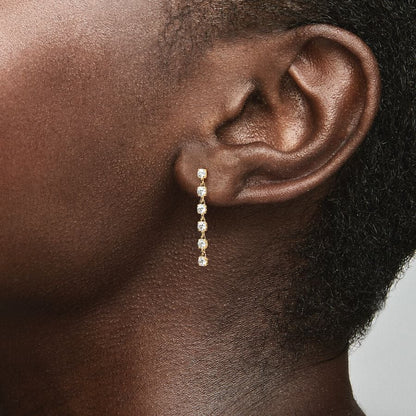 Sparkling Stones Drop Earrings