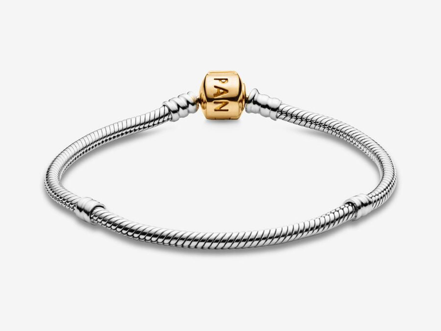 Snake Chain Bracelet