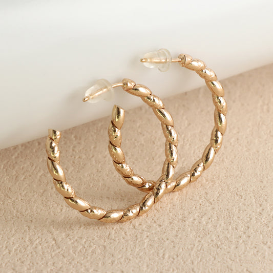 Elegant Geometric Circle Earrings