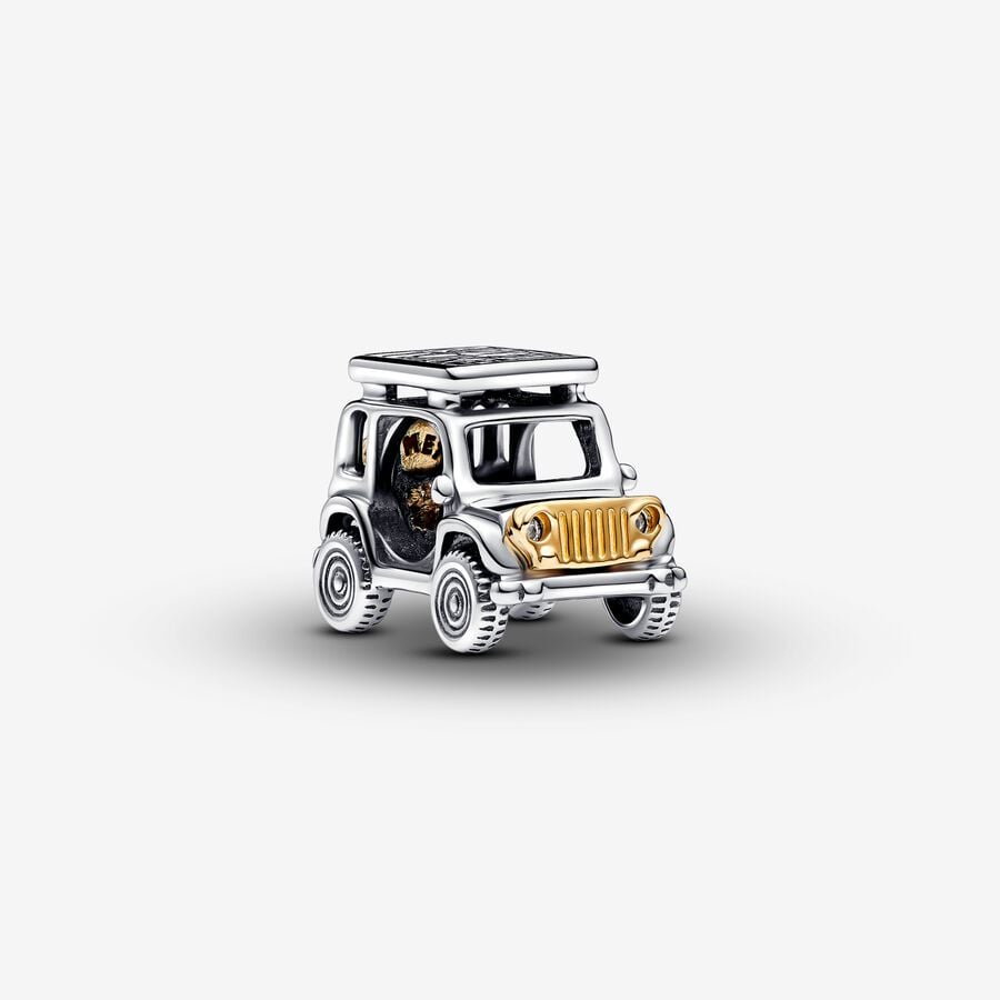 Gold & Silver Travel Car Charm