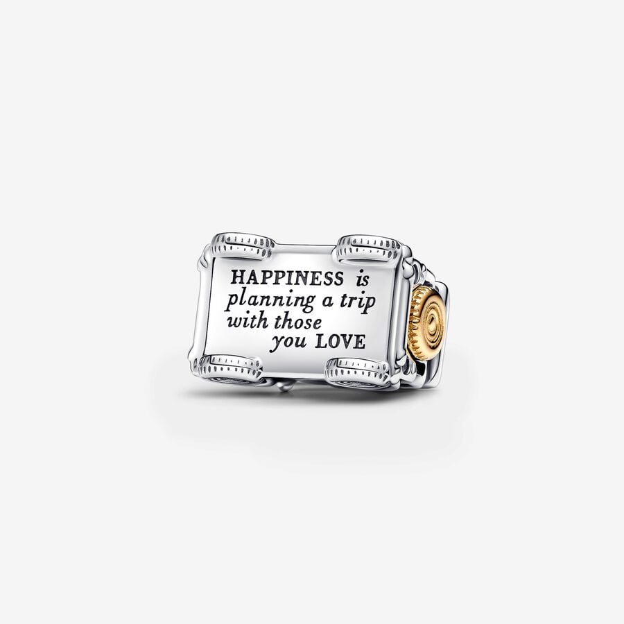 Gold & Silver Travel Car Charm