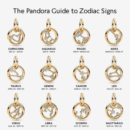 Capricorn Zodiac Dangle Charm