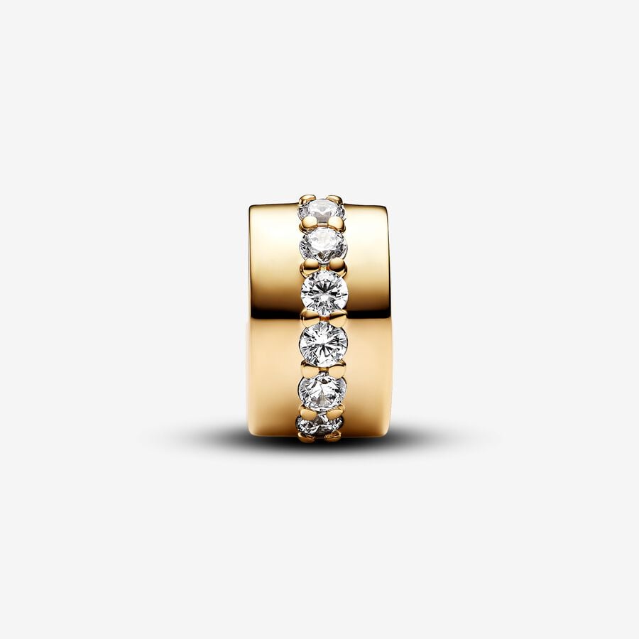 Shimmering Slide Clip