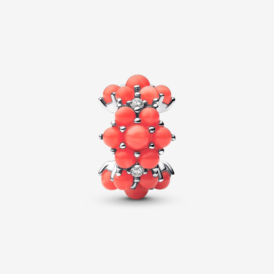 Passion Inspired Ocean Charm