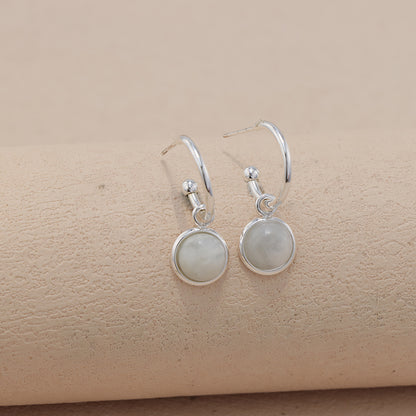 Geometric Stainless Steel Earrings with Circular Pendant - Classic Style