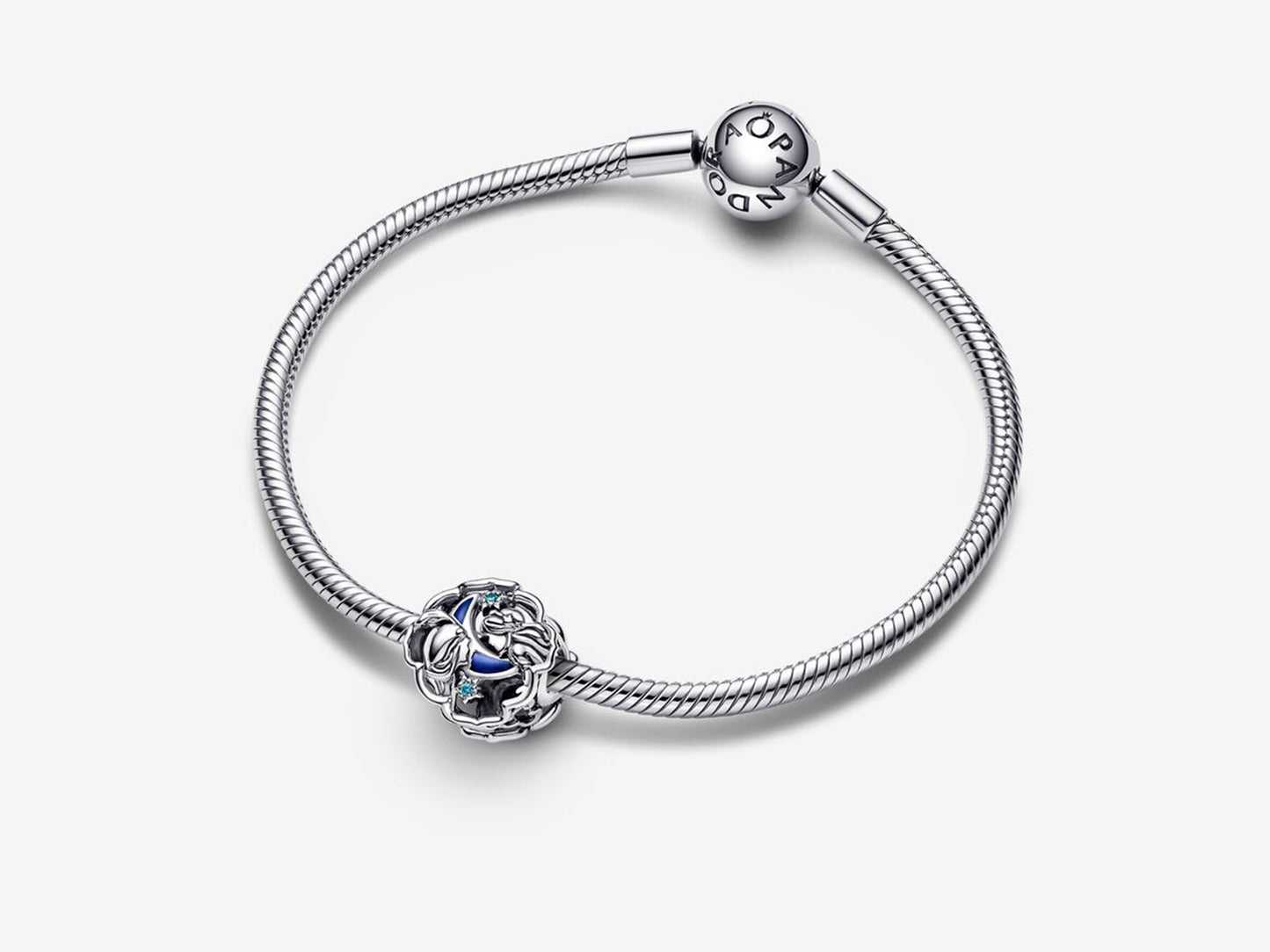 Aladdin & Jasmine Charm