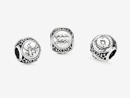 Aquarius Zodiac Charm