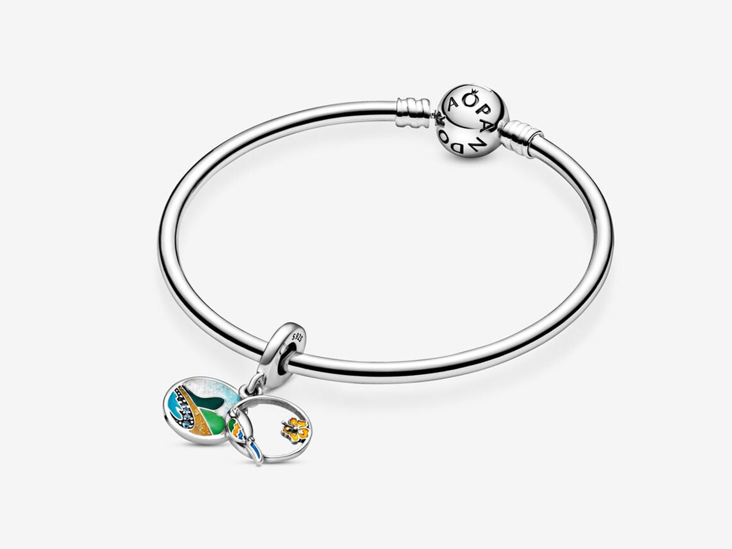 Brazilian Beach & Parrot Charm