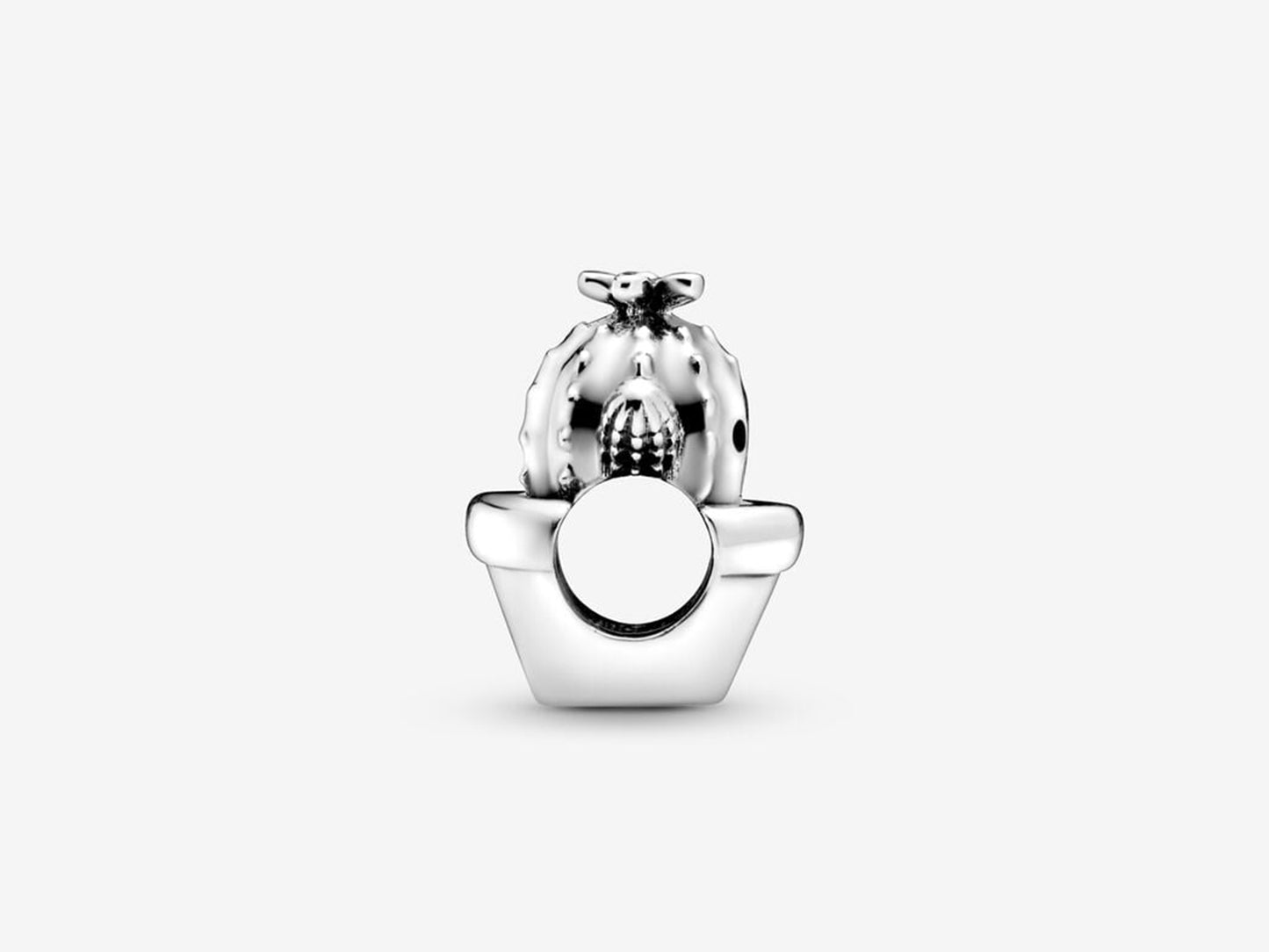 Cactus Hug Charm