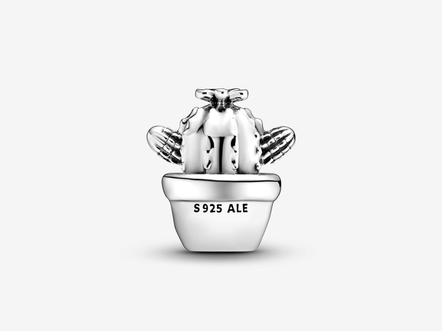 Cactus Hug Charm
