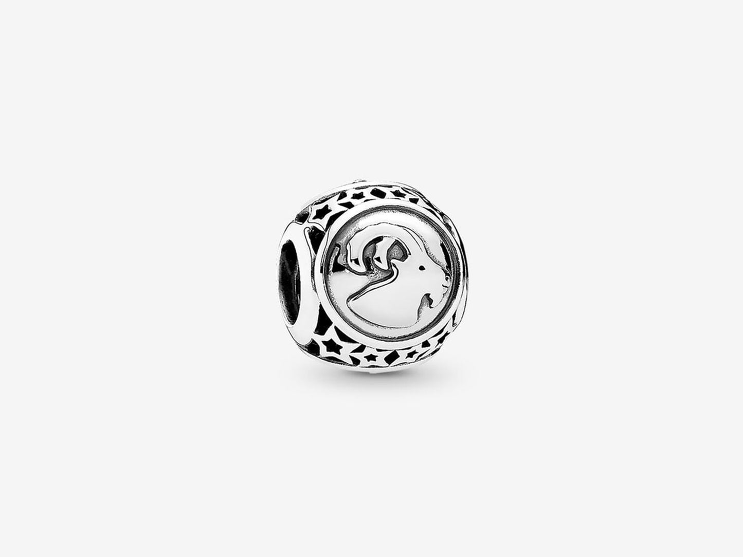 Capricorn Zodiac Charm