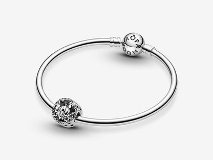 Cinderella's Carriage Charm