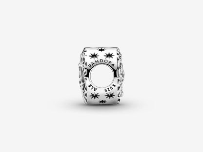 Cinderella's Carriage Charm