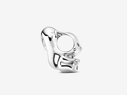 Cute Squirrel Charm