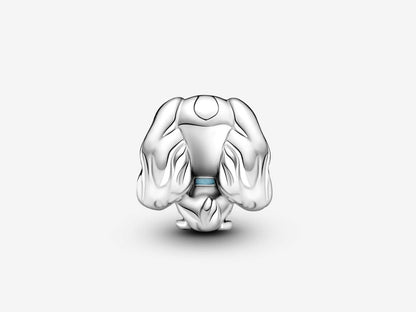 Disney Lady Charm