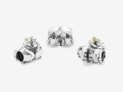 Eternal Swan Embrace Charm