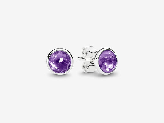 February Stud Earrings