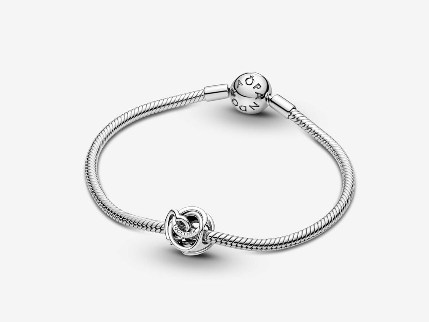 Family Always Encircled Heart Charm