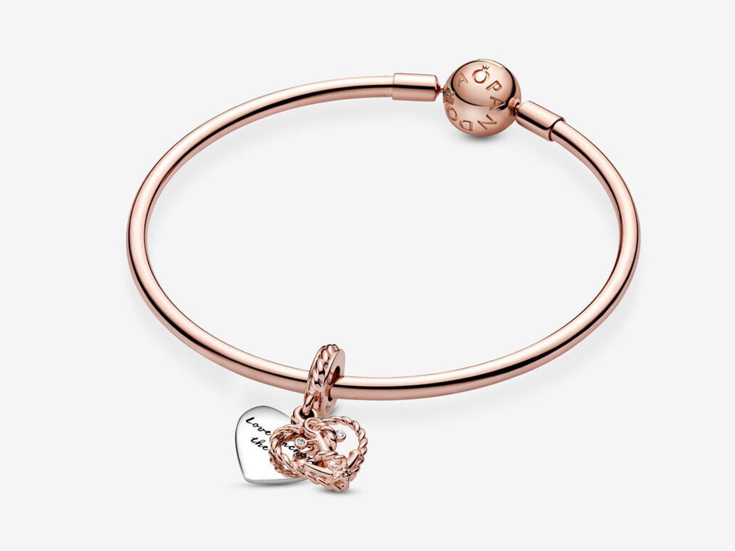 Love Knot & Anchor Charm