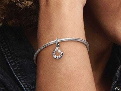 Lucky Horseshoe Charm