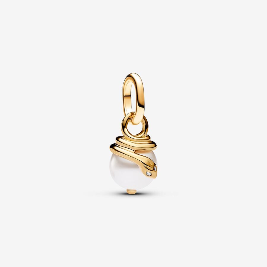 Transformation Snake Charm
