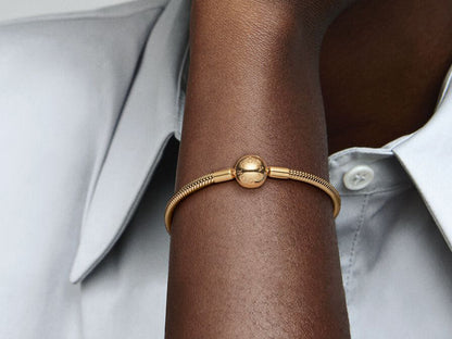 Snake Chain Bracelet