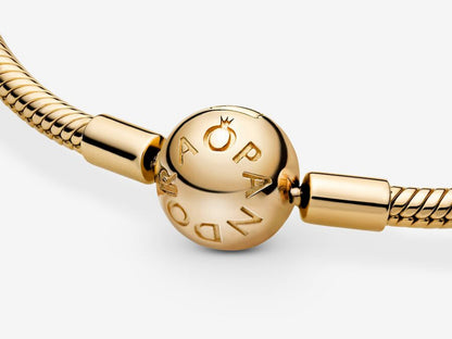 Snake Chain Bracelet