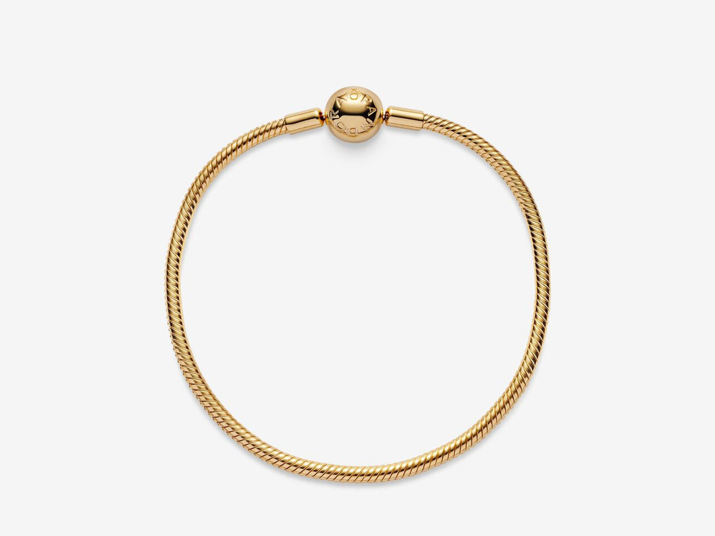 Snake Chain Bracelet