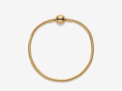 Snake Chain Bracelet
