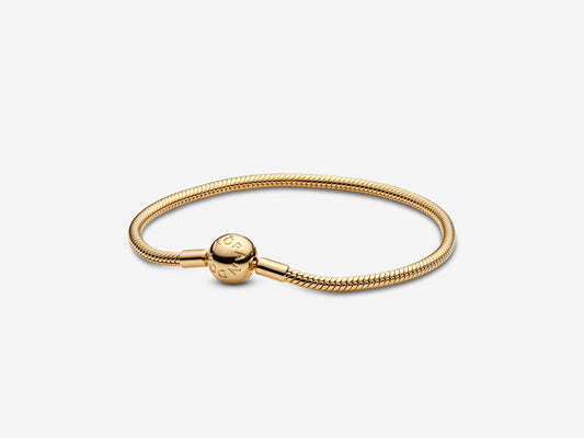 Snake Chain Bracelet