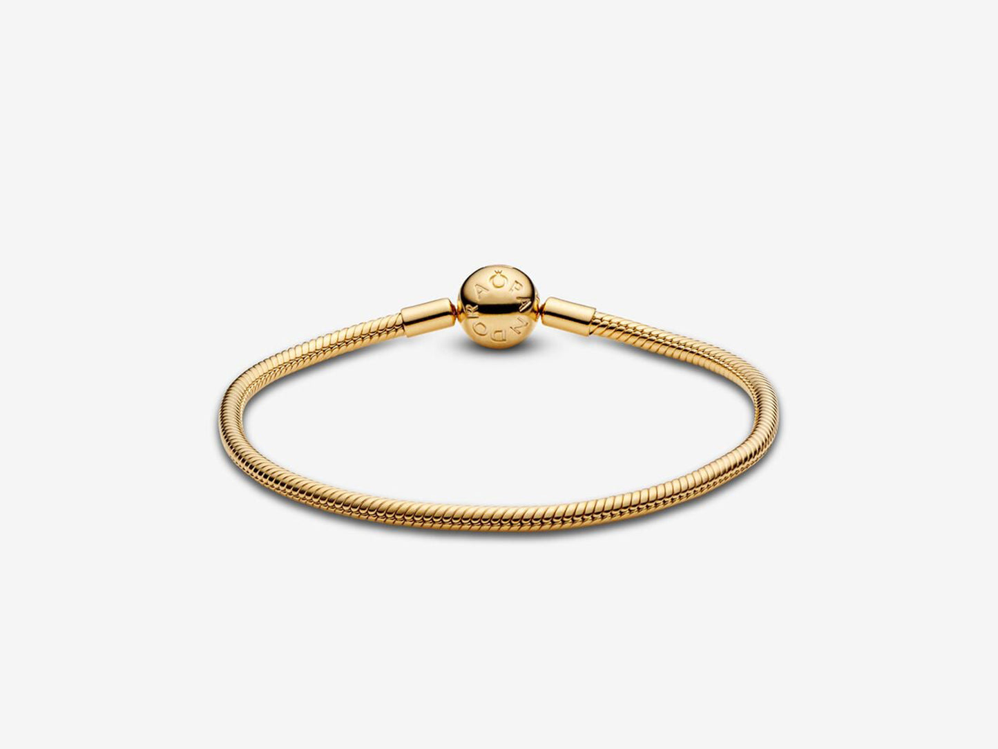 Snake Chain Bracelet
