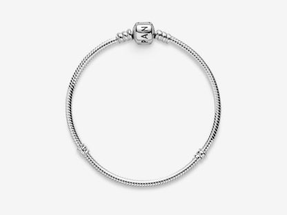 Foundation Snake Chain Bracelet