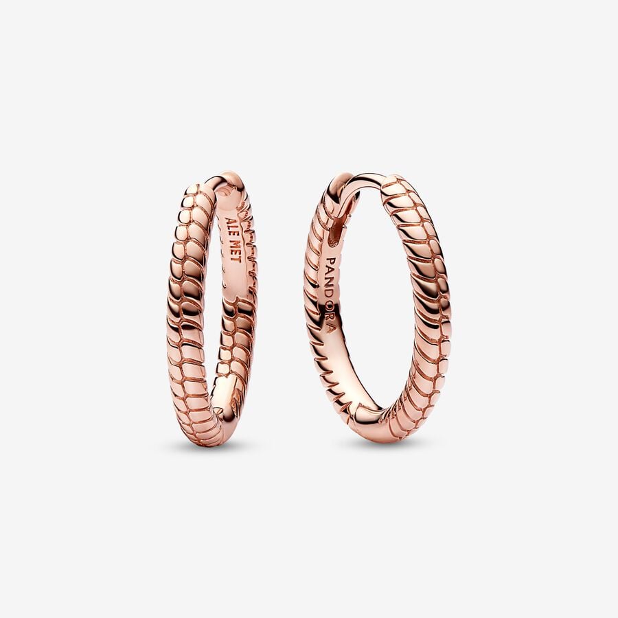 Small Charm Hoop Earrings