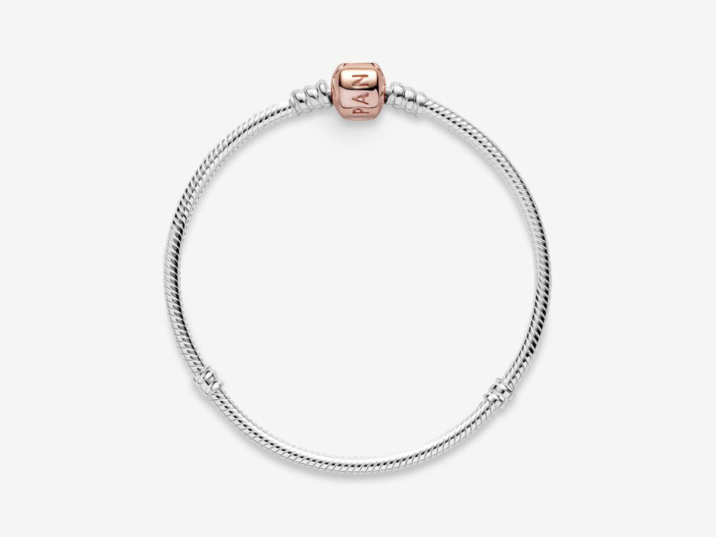 Smooth Snake Chain Bracelet
