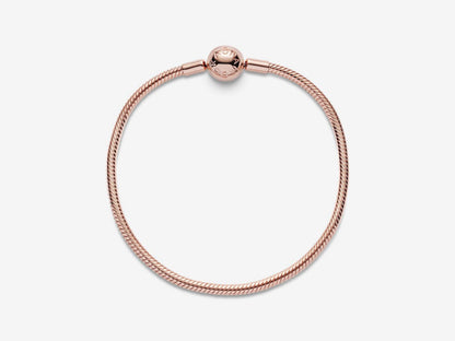 Snake Chain Bracelet
