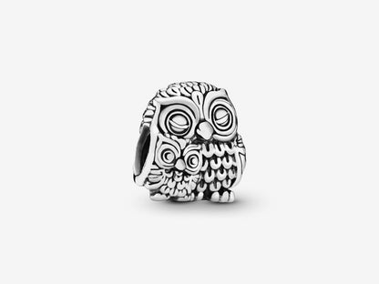 Mother & Baby Owl Charm