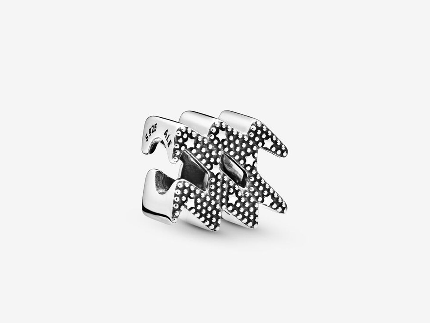 Sparkling Aquarius Zodiac Charm