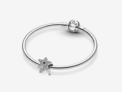Shimmering Asymmetrical Stars Charm