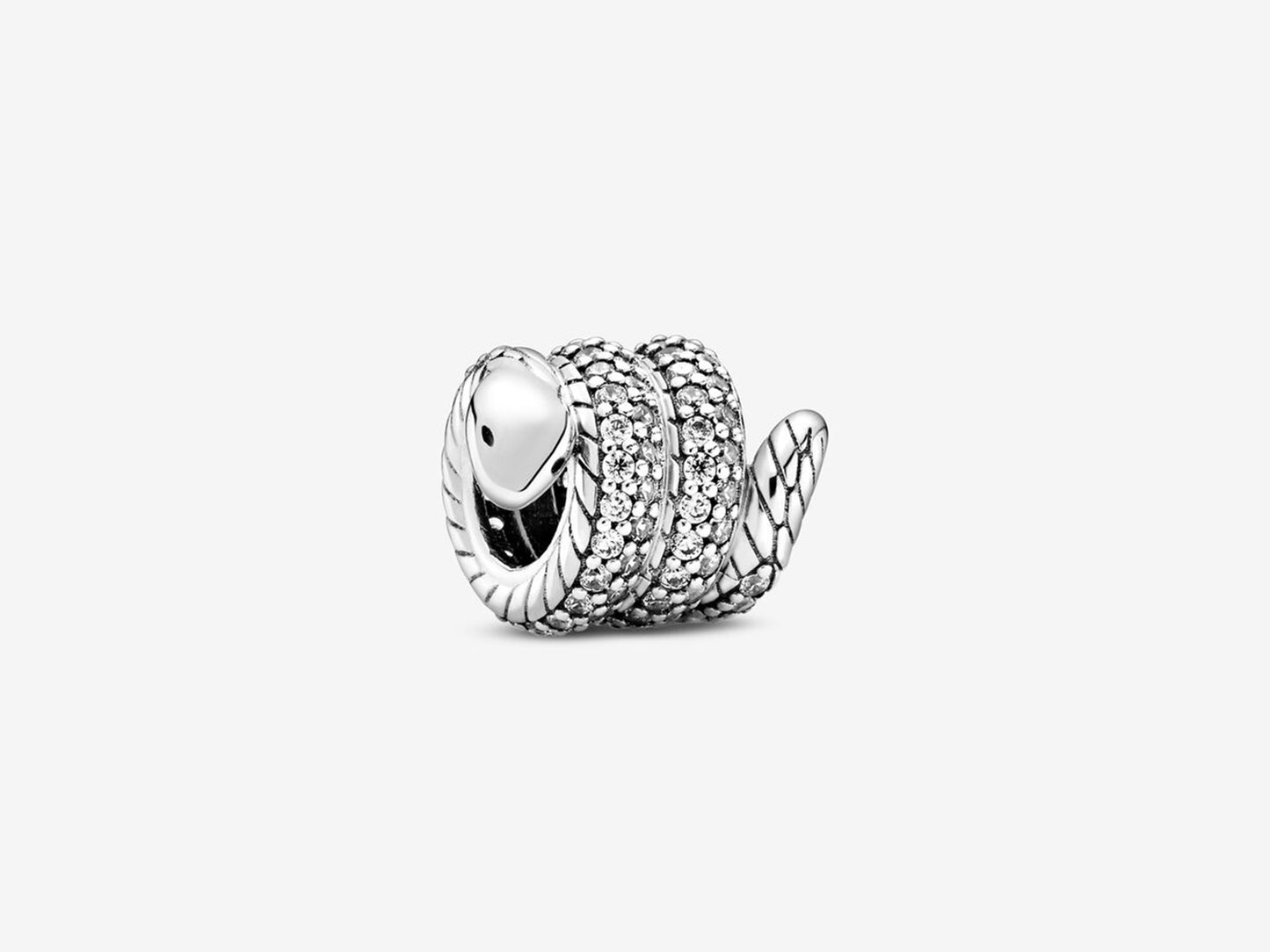 Shimmering Serpent Charm