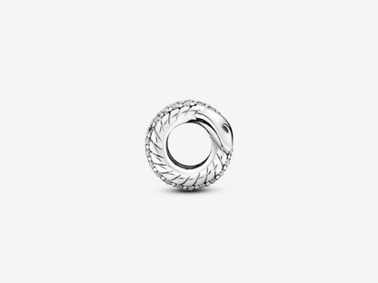Shimmering Serpent Charm