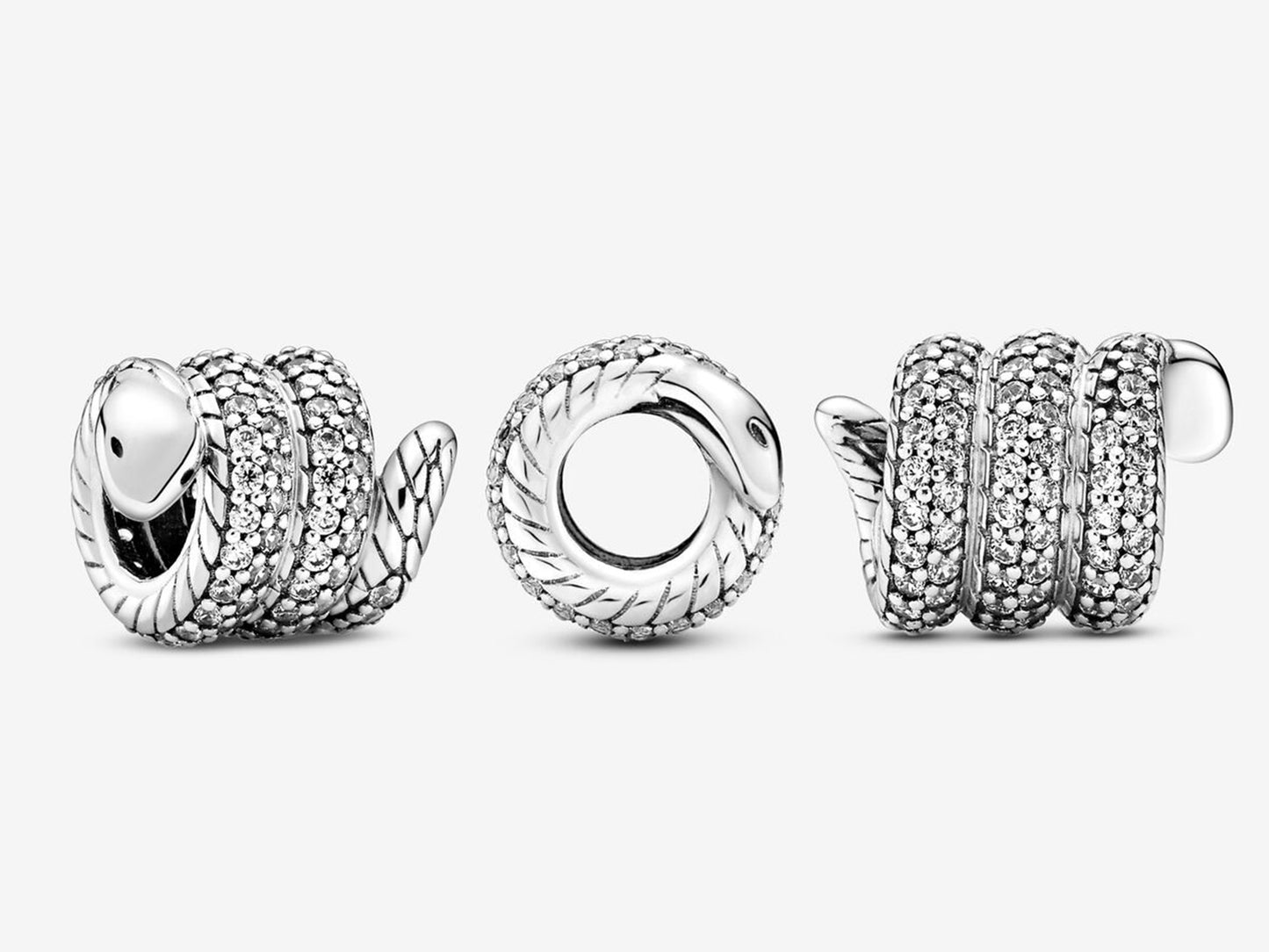 Shimmering Serpent Charm