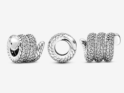 Shimmering Serpent Charm