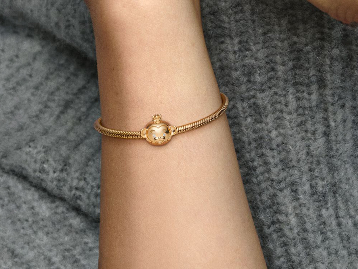 Shining Monkey Charm