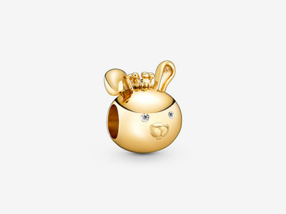 Shining Rabbit Charm