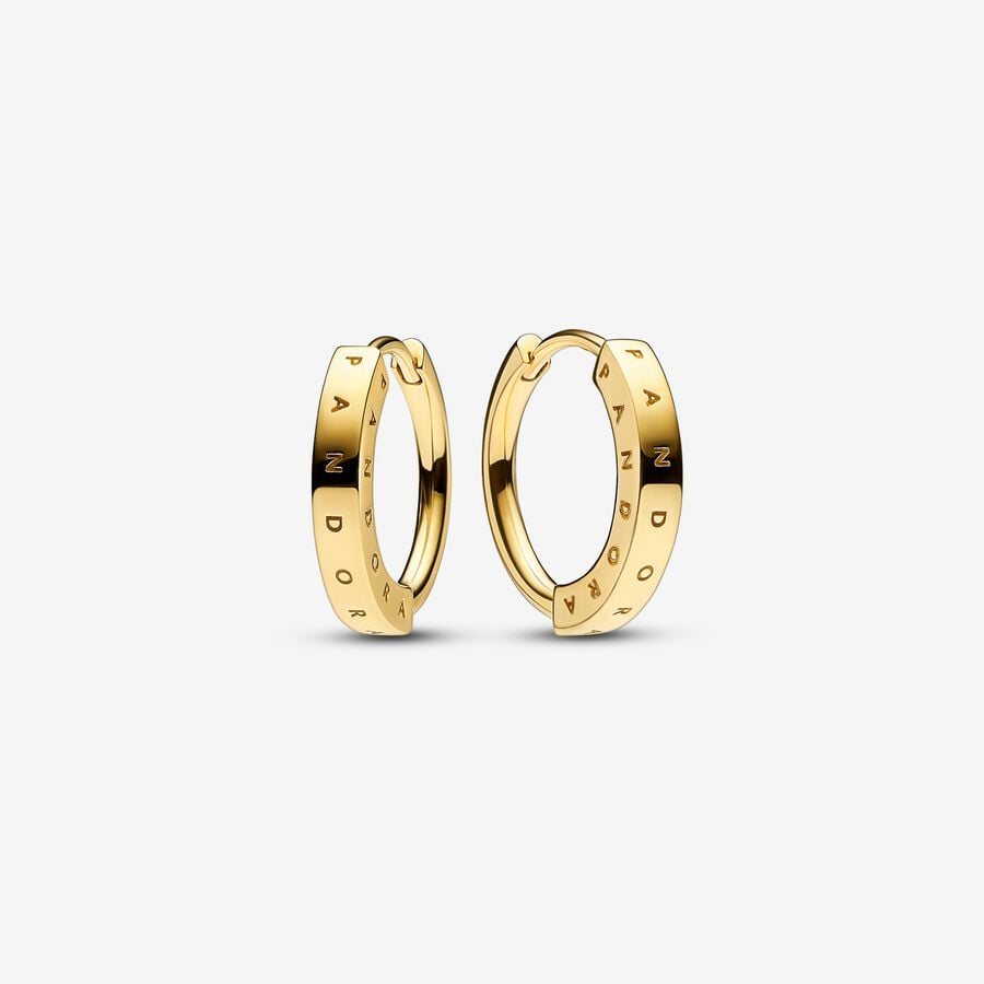Elegant Staple Hoop Earrings