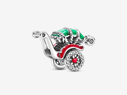 Traditional Rickshaw Charm