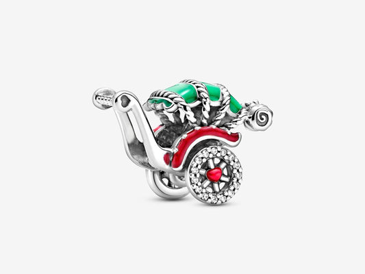 Traditional Rickshaw Charm