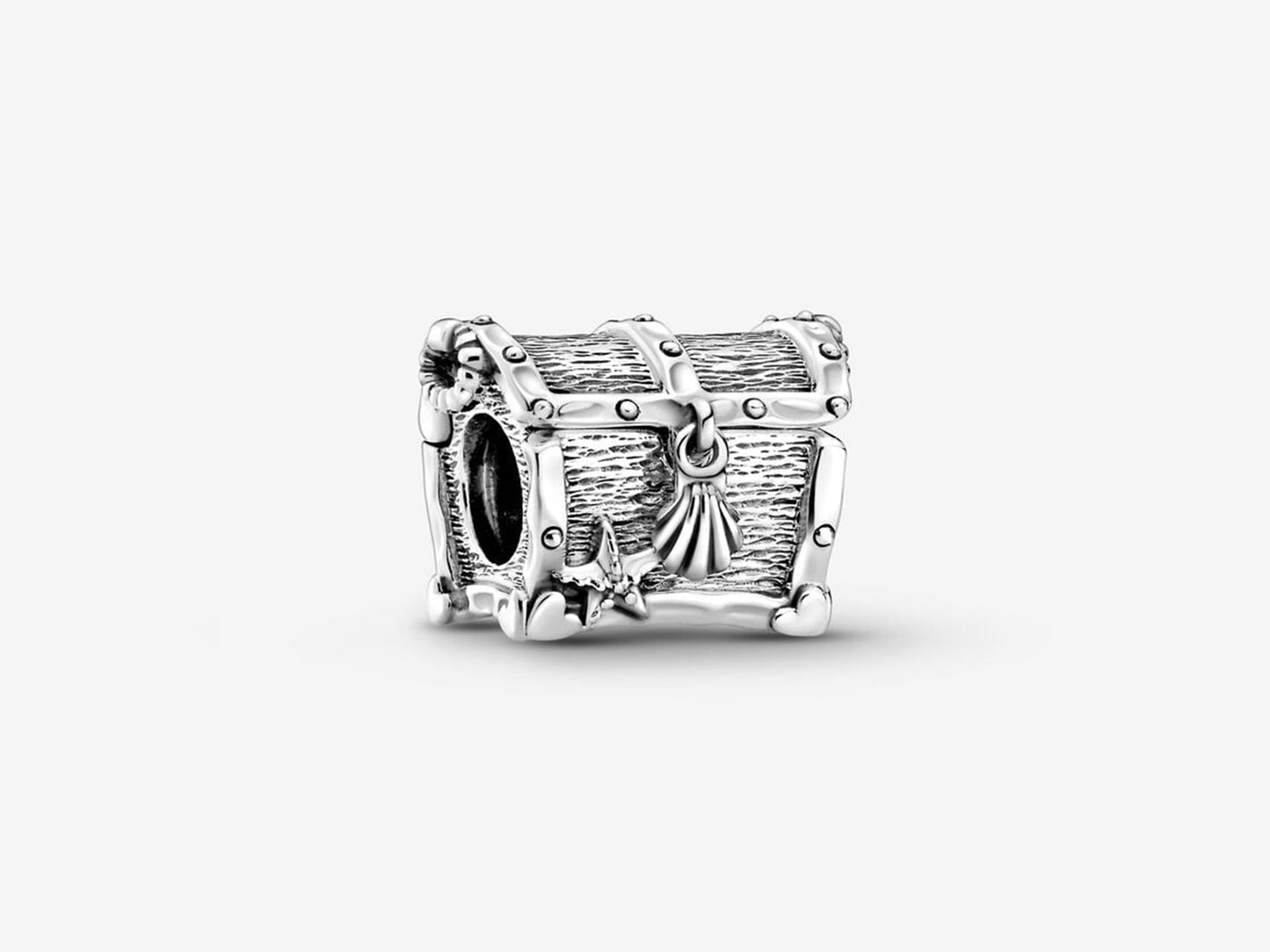 Treasure Chest Charm
