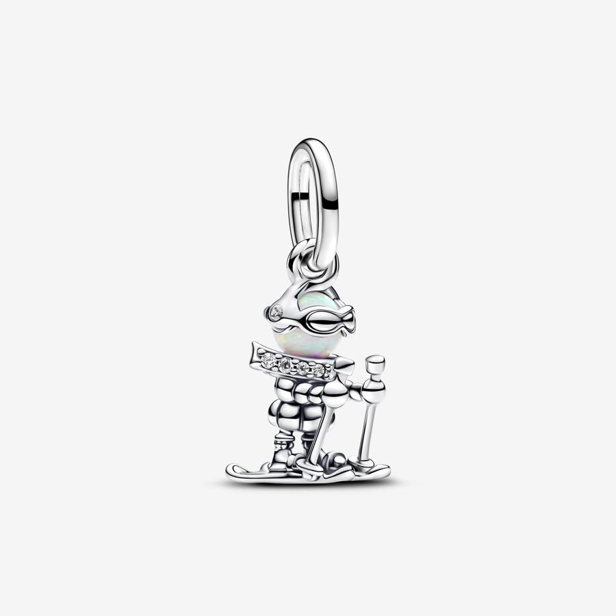 Winter Sports Dangle Charm